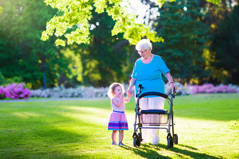 Happy senior lady with a walker or wheel chair and a little toddler girl, grandmother and granddaughter, enjoying a walk in the park. Child supporting disabled grandparent.